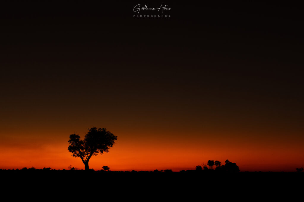 Photographies Botswana Guillaume Astruc Photography