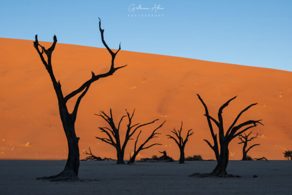 Deadvlei, joyaux de Namibie