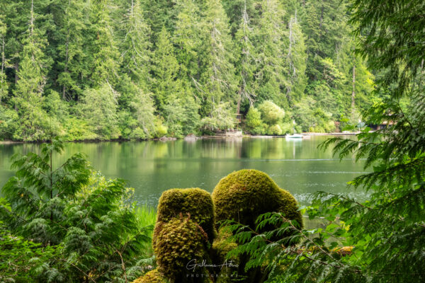 Le lac Cameron sur Vancouver Island