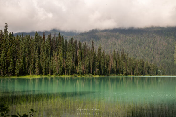 Dans les eaux de Yoho