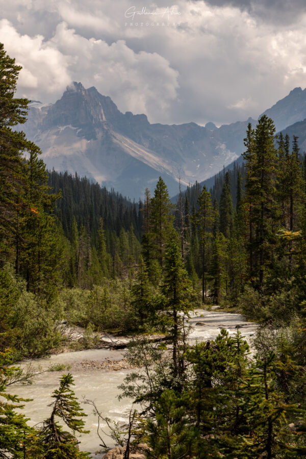 La rivière Yoho