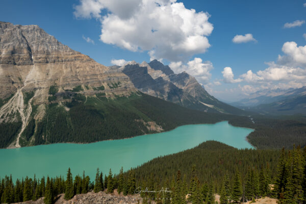 Le lac Peyto, joyaux des rocheuses Canadiennes