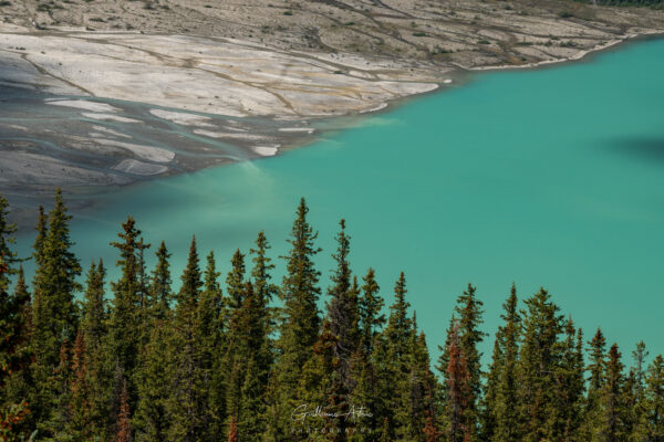 Le bleu intense du lac Peyto