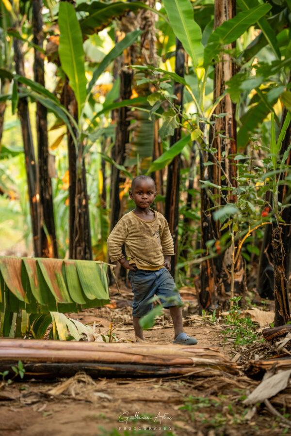 Détermination africaine