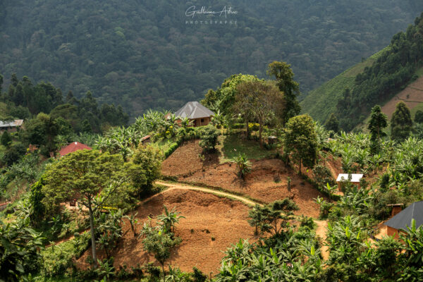 Village Ougandais près de Bwindi